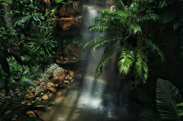 Hidden Waterfalls: Chasing Nature's Beauty