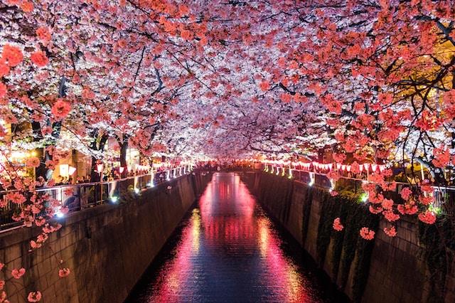 Japan in 14 Days: An Unforgettable Itinerary