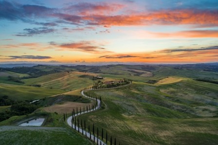 Tuscany Tranquility: Rolling Hills and Vineyard Vistas