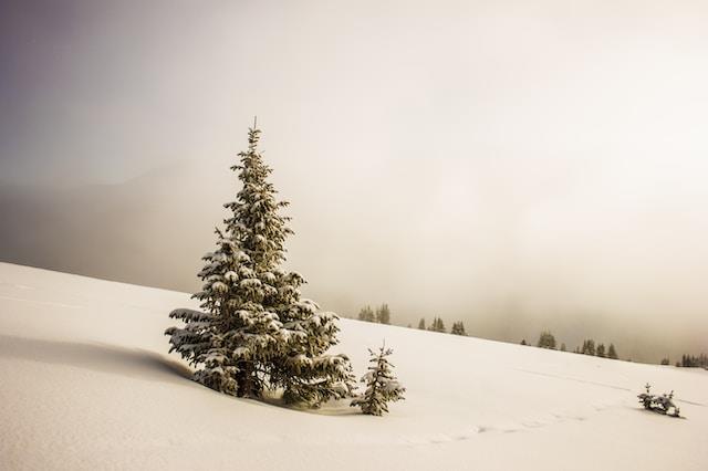 Winter Wonderland: Skiing in the Swiss Alps